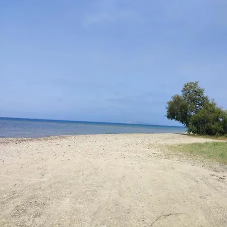 Bilocale Con Giardino Vicino Al Mare *
